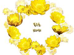 복수초 꽃 랜덤 브러쉬