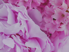 탱댐전력-날씨;side B