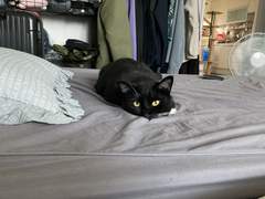 아직 별이 되지 않은 너에게