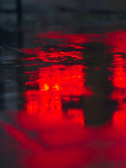 오늘을 영광이라 부르지 않겠다