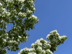 [엶] 05.21 | 현대인의 3대 의무, 책 추천