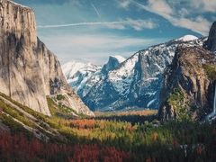 당신을 위해 준비한 김