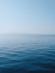 친애하는 그 아이에게