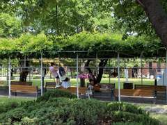 [뭉그로] May 21 | 이파리가 빛을 받으면