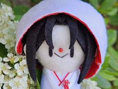 우치하 땅콩즈: 땅콩들 시집 장가 가는 날