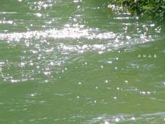 [우부] 헤어 먼저 받고 고백해줘