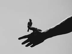 Please call me Knox.