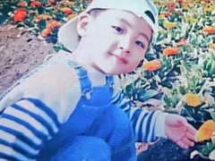 세븐틴 정한 사주풀이