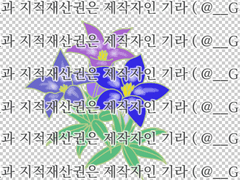 [클립스튜디오 소재 / 브러쉬 / PNG 파일] 식물_용담