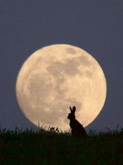 소화가 쓰는 소설 모음집