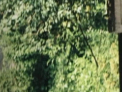 8월 청게 모음집