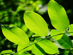 변하지 않은 일정