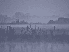 너의 웃음을 위해서라면 내 한 몸 다 타도 좋았다.