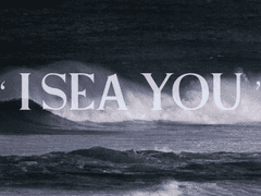 I Sea You 배경화면 유료배포