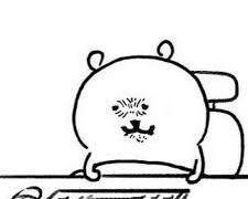 외모 강박 걸릴 필요가 없는 이유