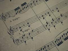 탐구심 (探究心)