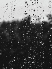 한동안 빗방울이 떨어지겠습니다 