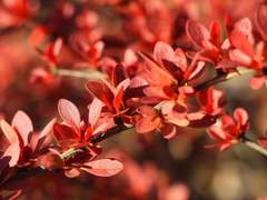 근본적으로 같은 이들