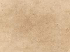 골드실드에서 나를 기다릴 형들에게