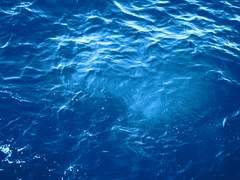 [유료] 우스이 레이키 세션