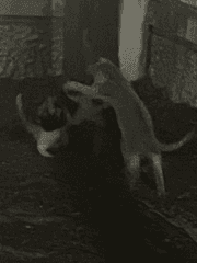 구분도 없이 푸른