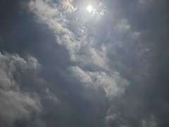 옆집에 사는 두 남자