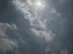 옆집에 사는 두 남자