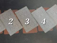 230523 오늘의 제네럴타로