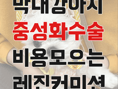 틀딱카레 레진 아트 쉐이커