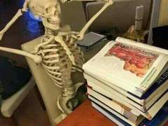 헐리우드 48시간 다이어트 후기