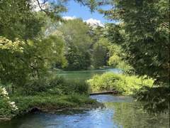 집에서 먹임 당할때 최대한 피하는 방법/ 안먹는 방법