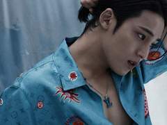 [민원] 개과 개속 회색늑대종 A