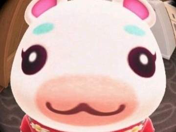 대규모 합숙에 오신 걸 환영합니다! 1