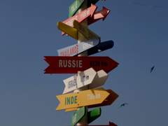 노래가 되는 세상