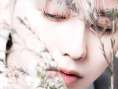 Ad majorem Dei gloriam