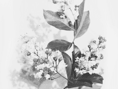 More Than Friends 上