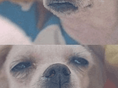 헤비 머신건 (센티넬 버스) 08