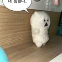 노브 (글 커미션)