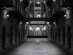 검붉은 나비였던 아이에게 바치는 찬사