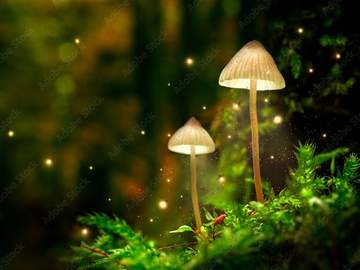 [ 요괴-도깨비 / 망매 (魍魅) ]