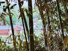 밀곡 沕谷 Prologue