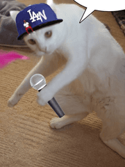 본격 뇌절 하이큐 대규모 합숙물 