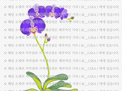 [클립스튜디오 소재 / 브러쉬 / PNG 파일] 식물_난초
