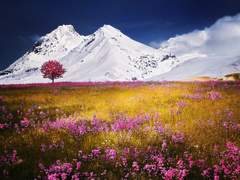 아름다운 새싹의 잎사귀 소리