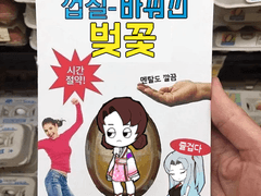 로보토미 코퍼레이션 벚꽃 리텍스쳐