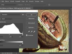 Adobe, 일자리 손실과 이미지 대량 위조에 대한 우려 속에서 Photoshop에 AI 통합