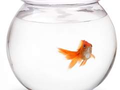 삶의 이유가 죽기 위함이라면,