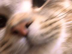 야마시타 다이키 관련 트위터 대화 백업