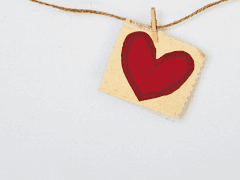 서치 데스티니 上