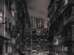 [호백/호댐] 분리불안 01.